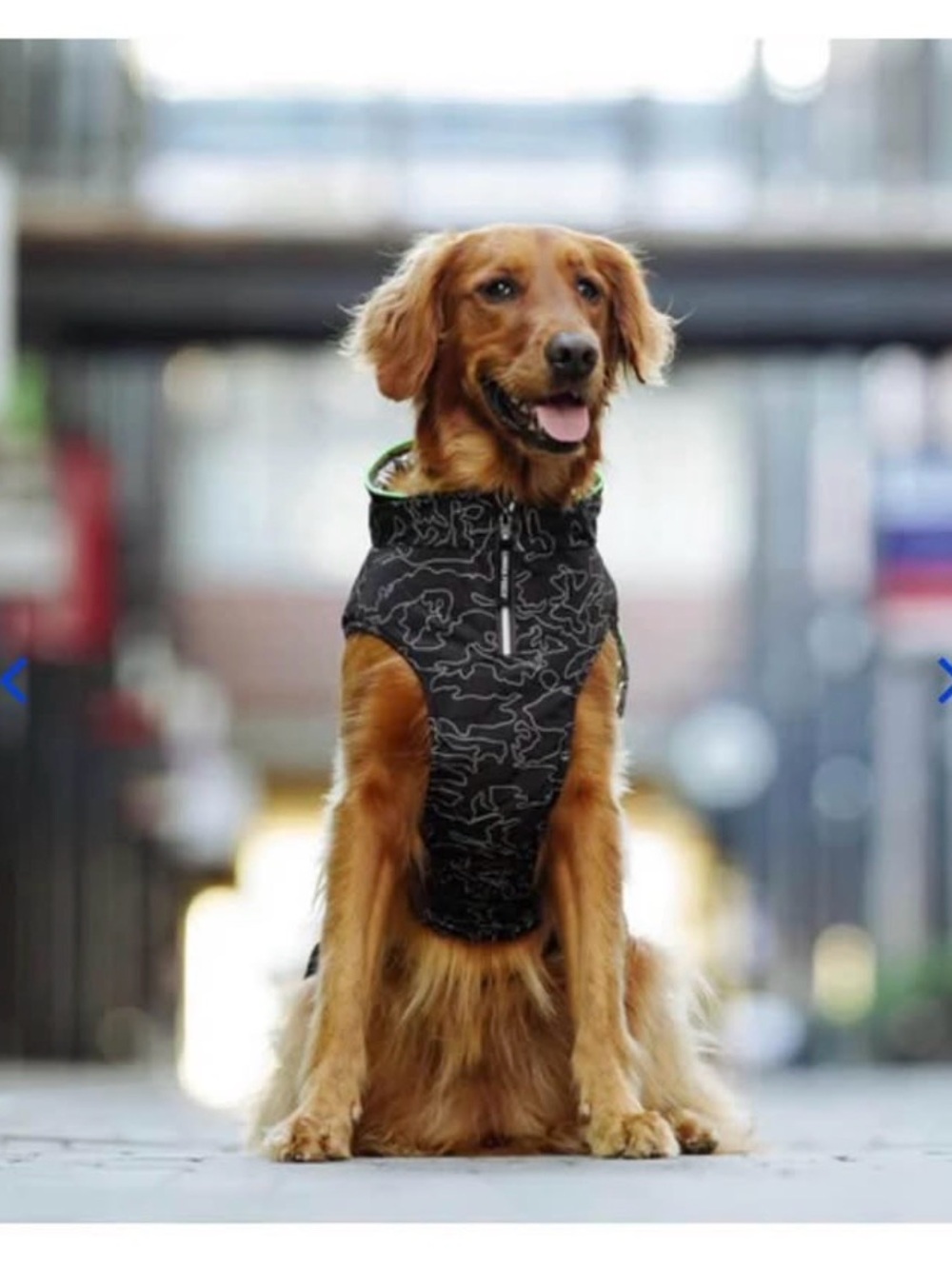 Reflective Pattern Black Dog Vest Jacket with Zipper